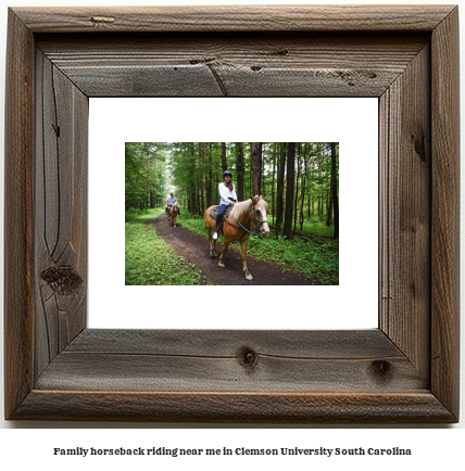 family horseback riding near me in Clemson University, South Carolina